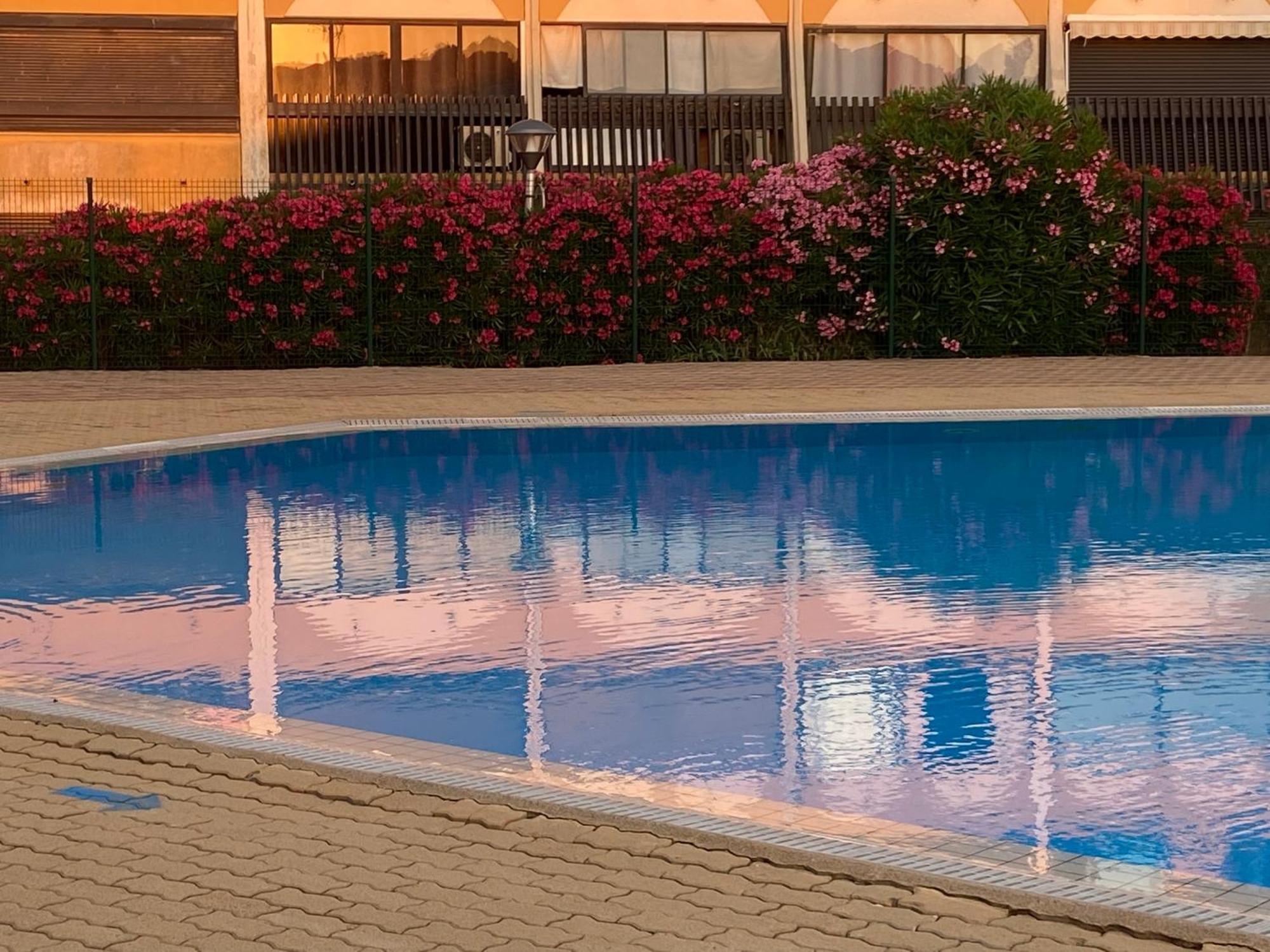 Purple Secret Naturiste آجد المظهر الخارجي الصورة